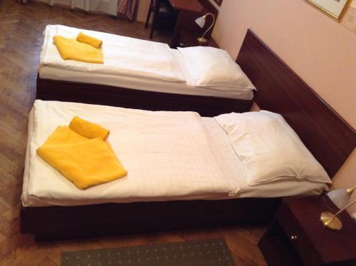 Victor Hotel 3*